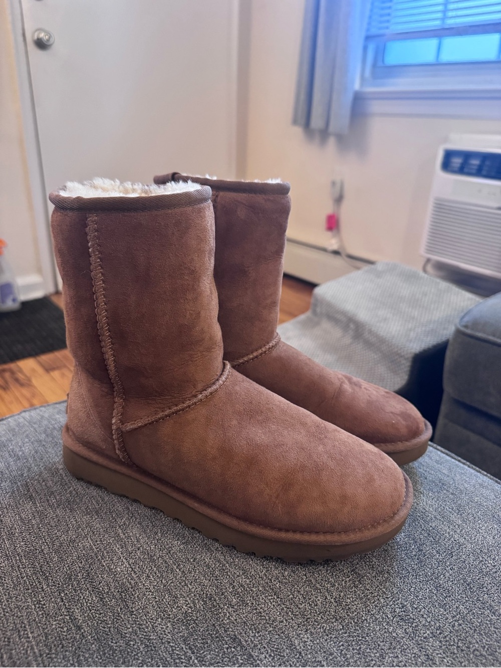 UGG Chestnut Brown Suede Mid-Calf Boots